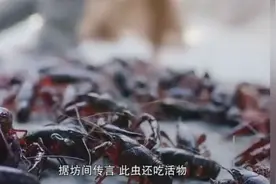 影视：菲姐的发财之道！赵露思小姐姐请大家吃小龙虾！