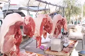降价了，降价了，降价了，重要的事情说三遍，山东潍坊鲜猪肉18元视频封面