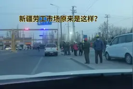 来新疆打工一定要去的地方，了解怎么找活干，一天能挣不少钱视频封面