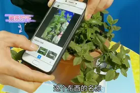 学会了手机里这个功能，不管什么物品，没有你叫不出来的名称。