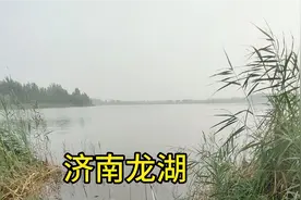 野钓风景如画的济南龙湖！空军？不可能。二十块的鱼竿不好用视频封面