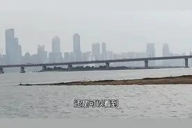 南昌八一大桥下很多老年人在游泳，撒网捕鱼，政府允许？视频封面