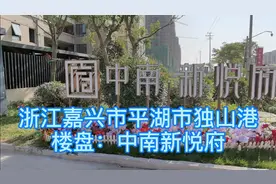 浙江嘉兴市平湖市独山港现房:中南新悦府,单价1.3万,68平方77万起视频封面