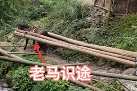 山里人养马的用途，这活非马儿莫属，网友：咋跟电视里的不一样视频封面