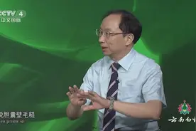 片仔癀既利胆消炎、又止疼保肝，是肝胆系统药物的后起之秀