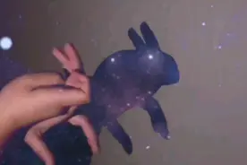 不知道跟孩子们互动什么？不妨试试小兔子手影。很有意思。