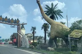 「常州」沪蓉高速芳茂山服务区成网红，常州元素十足，孩子很激动视频封面