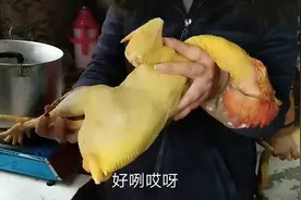杀鸡不用担心细毛不好拔，简单方法告诉你，一分钟搞定