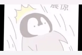 小企鹅表情包视频封面