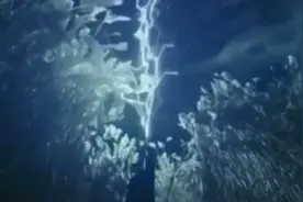 青云志:小凡发现杀害草庙村的凶手尽然在青云门，一下怒了视频封面