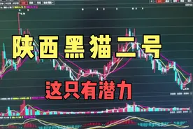 注意了，陕西黑猫二号是这只