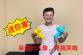 【长气球的100种编法】一根气球搞定呆萌大象，看大雄怎么编的？