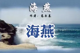 高尔基《海燕》让暴风雨来得更猛烈些吧！