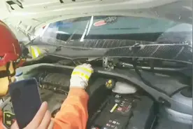 消防帮车主抓蛇 两天后反被车主要求修车“你们把雨刮器弄坏了”视频封面