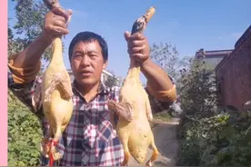 鸭子好吃毛难拔，灌酒、盐水烫，只用这一招，鸭毛干干净净