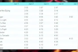 暗黑2 双热骑士14把常用武器测试 最强的居然不是悔恨。。
