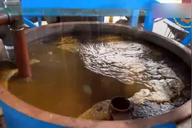 非洲棕榈油炼制流程，看完后我放下了手中的筷子。