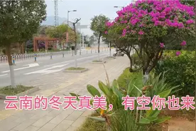 自驾游到宁洱县，推荐一个公园停车场，靠近商圈，购物吃饭都方便视频封面