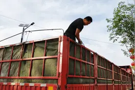 从河南拉一车小麦到山东，半挂司机能赚多少运费？大哥说的你信吗