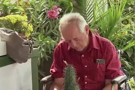 老人抱着仙人掌在打瞌睡，网友：这样的恶作剧要笑出腹肌了视频封面