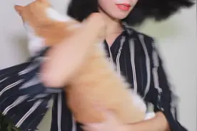 猫原地转圈圈会不会像人一样头晕？笑死了