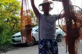 都说猪来穷，狗来富，两只小狗在我车底下当窝不走了，怎么办？