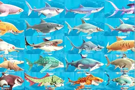 饥饿鲨世界：鲸鲨闯南海被超大巨雷炸沉海底视频封面