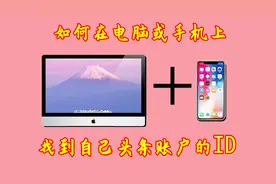 如何在电脑或手机上找到自己头条账户的ID