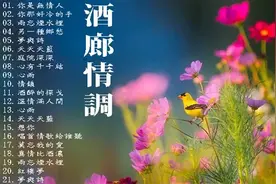 二十一首好听的酒廊情歌