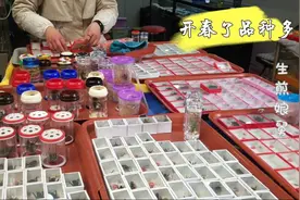 实拍上海最大的花鸟市场，盆景植物超多，老年人最爱逛的地方视频封面