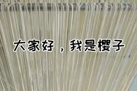利用周末压点面条 晾干储存起来 可以吃十几天 卫生放心 吃着方便视频封面