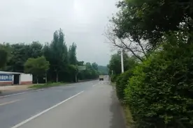 乡村阿顾205国道寻找麻椒勿食中毒，麻椒的威力真不小。视频封面