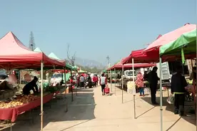 黄岛区五天两集的扒山大集，开市了视频封面