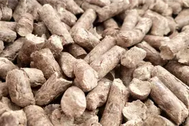 山东农村不让烧煤炭了，看看国家分的炉子和碳什么样的视频封面