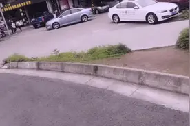 散步遇到个四个孩子的妈妈，问她为什么生这么多，一个原因。