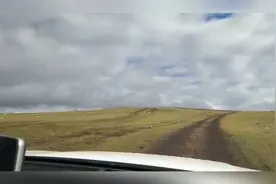 此生必驾318，比亚迪混动宋dm在318川藏线上跑就是一个字，爽！