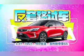 10万出头买L2！草原试驾新帝豪GS | 反套路试车视频封面
