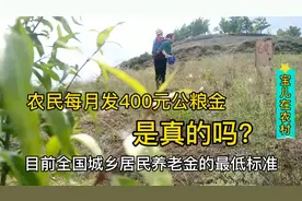 60岁以上缴纳公粮的农民，每月领取400元公粮金，这是真的吗？视频封面