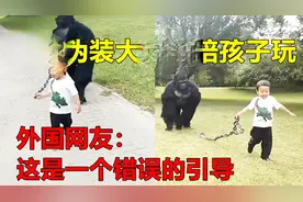 中国爸爸伪装成大猩猩陪孩子玩，外国网友：这是一个错误的引导视频封面