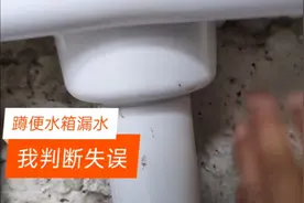 蹲便器水箱漏水，我怀疑是水箱冻坏了，结果却是进水阀问题视频封面