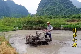 广西农村种植第二季水稻，小波家 用这种插秧新方法，速度真快视频封面