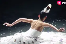 杨丽萍孔雀舞《月光下的凤尾竹》视频封面