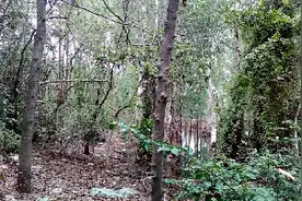 深圳宝安。西乡有个野钓的位置，关键是免费，钓友们不妨出看看，视频封面