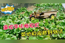 自制四驱遥控手扶拖拉机，极限越野性能测，大家看看怎么样？