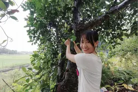 赶海界大厨用树叶独创美食，做出来竟然比海鲜还好吃，还有这操作