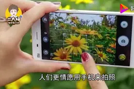 手机照片如何添加文字。原来方法这么简单。手把手教你学会。视频封面