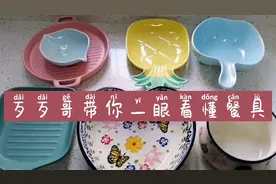 漂亮的餐具，会不会有毒可以进微波炉烤箱吧，你知道多少？视频封面