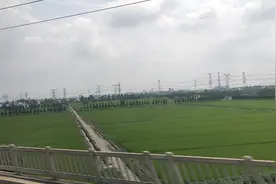 没想到嘉善县到上海还有那么远，打滴滴那么贵坐汽车也贵太难了。视频封面