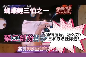 鱼得痘疮怎么办？三种方法任你选，总有一款适合你的爱鱼！