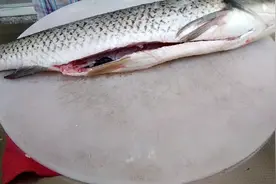 大酒店清蒸鱼为什么几分钟就好了  原来是这样改刀的